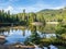 Alpine lake in forested mountains