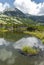 Alpine lake grass patch unde summer white clouds