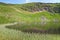 Alpine lake Nesamovyte on summer mountains