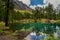 Alpine lake pellaud in a pine forest in Rhemes Notre Dame, Valle dAosta, Italy