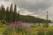 Alpine Lake at Salmo Pass in the Kootenays British Culumbia Canada