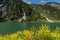 Alpine lake spring summer landscape with yellow flowers in foreground