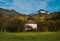 Alpine landscape. Bavaria. Germany