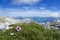 Alpine landscape with blooming flowers between rocks high at the