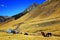 Alpine landscape in Cordiliera Huayhuash