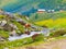 Alpine landscape with creek, cow and mountin cottage