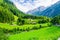 Alpine landscape with green meadows, Alps, Austria