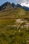 Alpine landscape in the Lord of the Rings style. In the foreground is a grassy expanse with a strip of Cotton Grass, Eriophorum