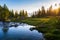 Alpine landscape, mountain stream in idyllic environment amid rocks meadows and forest. Sunburst at sunrise, the italian Alps