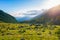 Alpine landscape, mountain stream in idyllic environment amid rocks meadows and forest. Sunburst at sunrise, the italian Alps