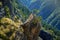 Alpine landscape, Saviese, Switzerland. Green forested slopes with rocky outcrop