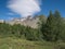 Alpine landscape with tall mountains and pasture in summer in Valmalenco