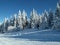 Alpine landscape in winter under freshly snowing snow