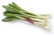 Alpine leek, victory onion