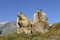 Alpine marmot couple