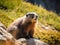 Alpine marmot (Marmota marmota) sitting on a rock. Made with Generative AI