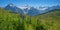 Alpine meadow with blue monkshood flowers, mountain range switzerland bernese oberland