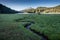 Alpine meadow with creek winding through