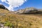 Alpine meadow with giant speargrass in valley in Southern Alps, New Zealand