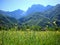 Alpine meadow, Theth, Albania
