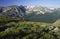 Alpine meadow at Trail Ridge Road in Colorado