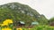 An Alpine meadow with wild flowers and an old wooden farmhouse. hut cabin in mountain alps at rural fall landscape