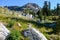 Alpine meadow with wildflowers and granite boulders under a high mountain peak