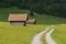 Alpine meadow with wildflowers, wooden hay huts and walkway