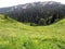 Alpine meadows of the Caucasus mountains, Lago-Naki plateau, mountain river, fir trees, many flowers