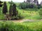 Alpine meadows of the Caucasus mountains, Lago-Naki plateau, mountain river, many flowers, beautiful landscape