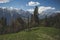 Alpine meadows and panorama of the Indian Himalayas near Manali