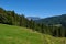 Alpine Meadows, Pine Forests, and the Azure Sky. Summer Meadows and Evergreen Forests Beneath Blue Skies. Mountain