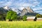 Alpine morning rural landscape with spring flowering valley mead