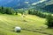 Alpine mountain landscape with farm fields and hay bales in the Swiss Alps above Andeer village