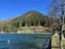 Alpine mountain Seehorn (2238 m) covered with evergreen forest above the tourist and sports mountain lake Davos