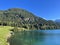 Alpine mountain Seehorn (2238 m) covered with evergreen forest above the tourist and sports mountain lake Davos