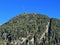 Alpine mountain Seehorn (2238 m) covered with evergreen forest above the tourist and sports mountain lake Davos