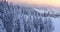 Alpine mountain spruce forest at sunrise aerial. Winter nature landscape. Snow trees at ski resort