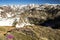 Alpine mountains beartooth range flowers tundra