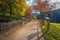 Alpine narrow rural road and colorful deciduous trees in Dolomites