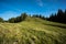 Alpine panorama scenery in bavaria hill top