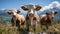 Alpine Pastoral Symphony: Cows Grazing in Salzburg