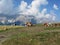 Alpine pasture with cows in foreground and view of Sesto Dolomites, South Tyrol, Italy in background