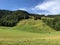 Alpine pastures and grasslands in the Sihltal valley and by the artifical Lake Sihlsee, Studen - Canton of Schwyz, Switzerland