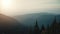 Alpine pine tree forest, mountain range canyon in sunset. Aerial drone flight over beautiful highland evening scene