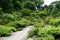 The Alpine Plant Garden in Hokkaido University Botanical Garden