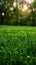 Alpine radiance Fresh green grass in meadow basks in sunlight