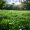 Alpine radiance Fresh green grass in meadow basks in sunlight