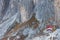 Alpine Refuge Fratelli Savio Fonda in Cadini di Misurina, Dolomites