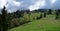 The alpine ridges of the Carpathian Mountains are surrounded by centuries-old forests on the background of the blue sky with white